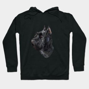 Giant Schnauzer Black Beauty Hoodie